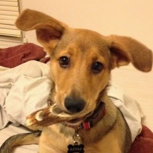 Meet your Posher, Laura